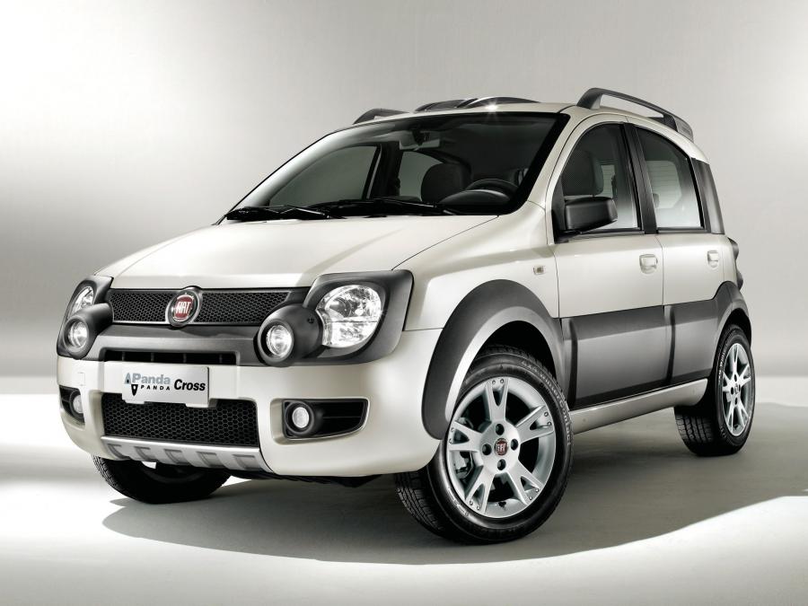  Fiat Panda Natural Power Cross 2009 года  (фото 2 из 4)